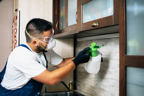 Best Affordable Pest Control Services  in Cumings, TX
