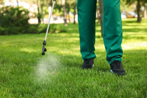 Best Local Pest Control Services  in Cumings, TX