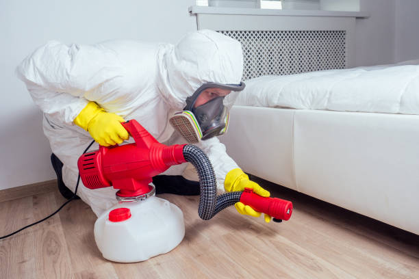 Best Flea Control Services  in Cumings, TX