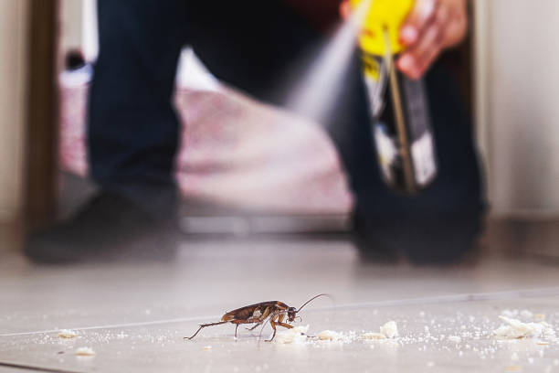Best Commercial Pest Control Services  in Cumings, TX