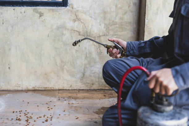 Best Pest Control Near Me  in Cumings, TX